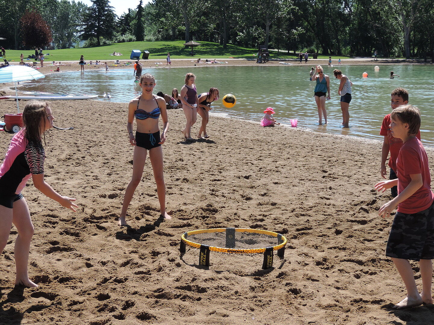 Spikeball Pro-Set – ein Traum